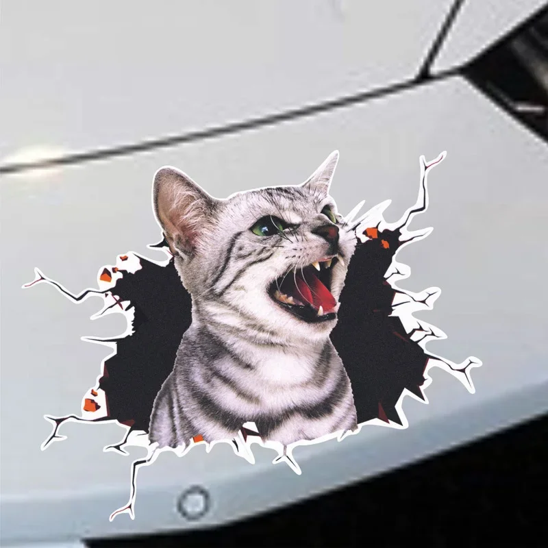 かわいい猫の3Dシミュレーション,車のステッカー,面白いビニ - 3D Printing Car のレビューと価格