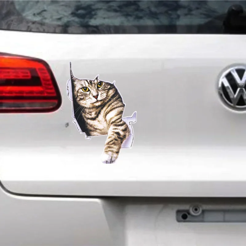 かわいい猫の3Dシミュレーション,車のステッカー,面白いビニ - 3D Printing Car のレビューと価格
