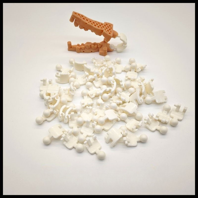 100個入り 3Dプリント用歯型枠、使い捨てプラスチック製歯 - 3D Printing Tooth のレビューと価格