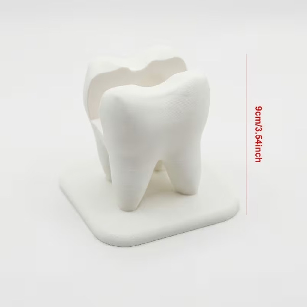3Dプリント製の白い歯型名刺ホルダー、歯科医院の受付用デスク - 3D Printing Tooth のレビューと価格